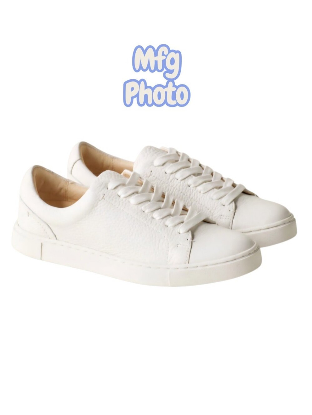 Frye Ivy Low Lace Sneakers, Womens 7